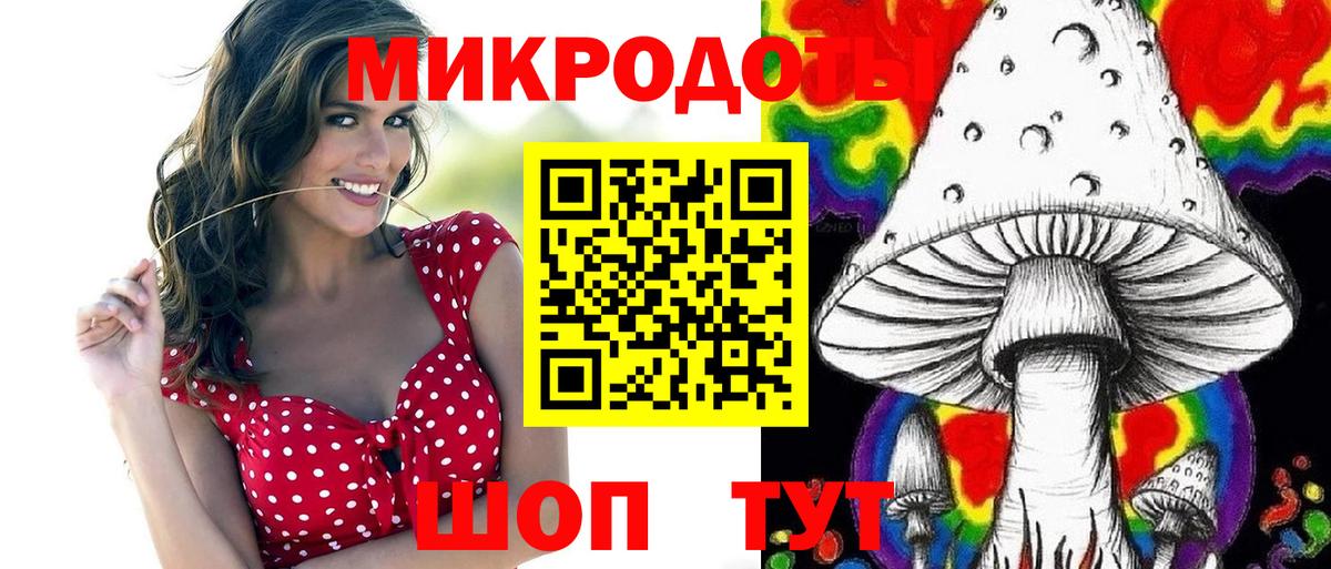 Псилоцибиновые грибы Psilocybe  Псилоцибиновые грибы Psilocybe  Волгоград  Вход с VPN 