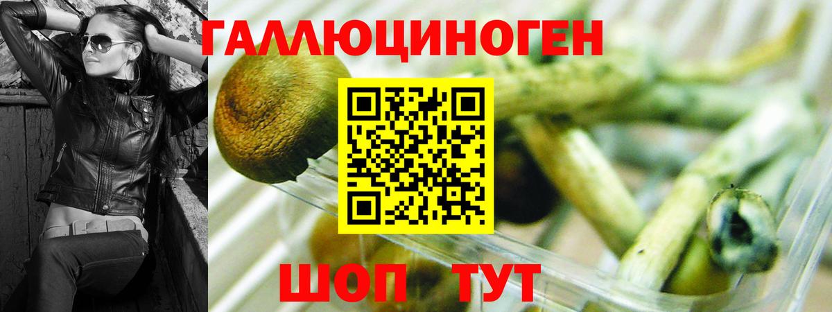 Псилоцибиновые грибы прущие грибы Волгоград